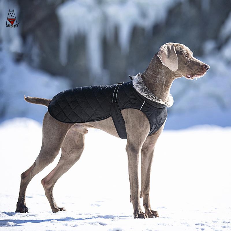 Large Dog Winter Jacket